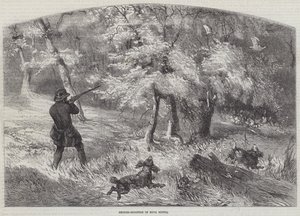 Rypeskyting i Nova Scotia